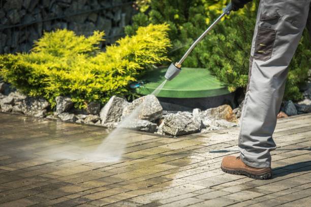 Best Winterizing Services  in Linganore, MD